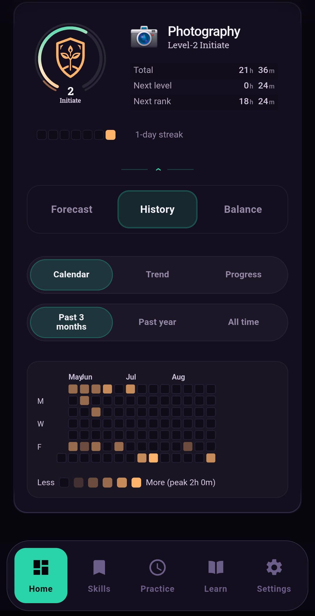 Skillmark history calendar showing active practice days for one hobby over the past three months.